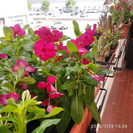 Appartamento La Casa Di Carlotta